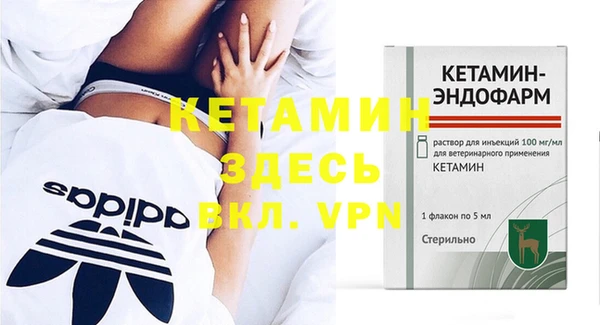 индика Болхов