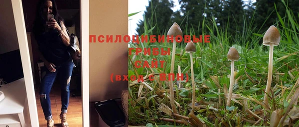 спайс Лабытнанги