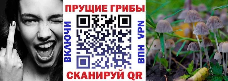 Галлюциногенные грибы прущие грибы  Купить закладки  Татарск 
